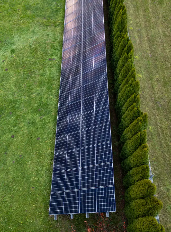 All Around Solar Screenings - Solar Farm Vegetative Screening in Illinois