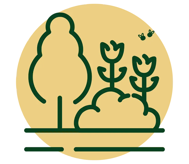 All Around Solar Screenings - Sustainability & Community icon